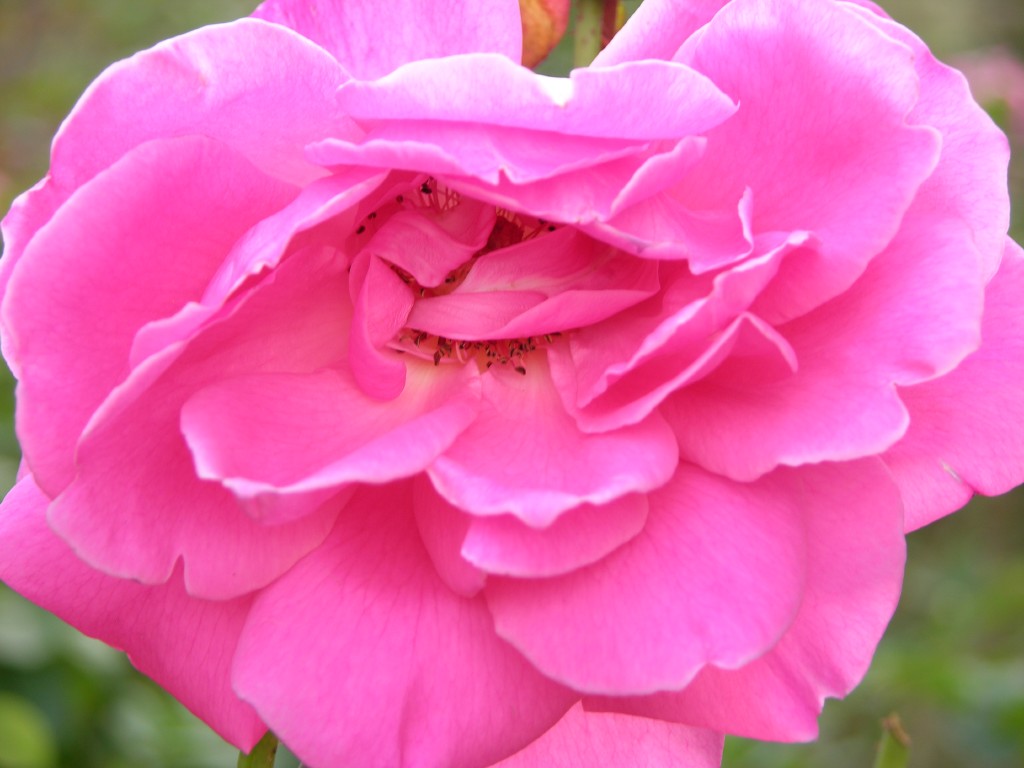 dscn0792.jpg