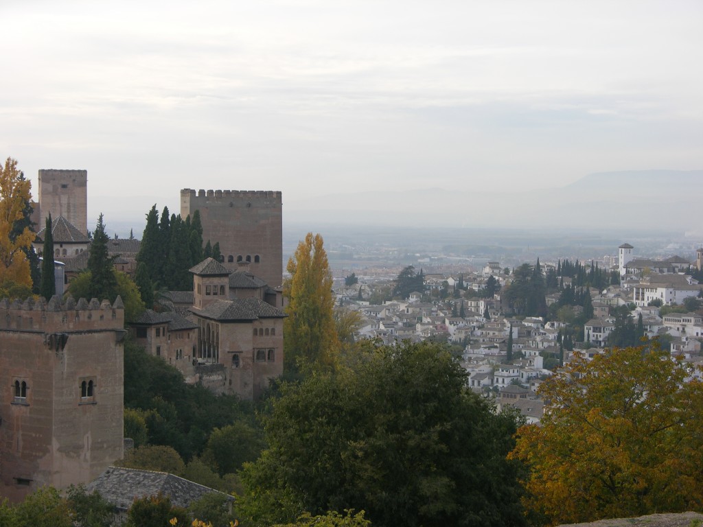 dscn0795.jpg