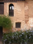 dscn0774.jpg