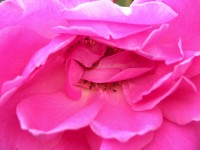 dscn0791.jpg