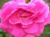 dscn0792.jpg
