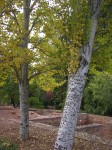 dscn0831.jpg
