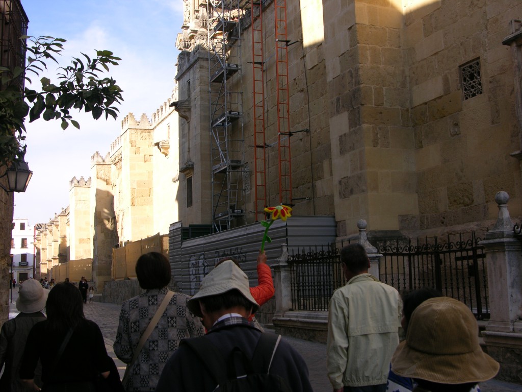 dscn0623.jpg