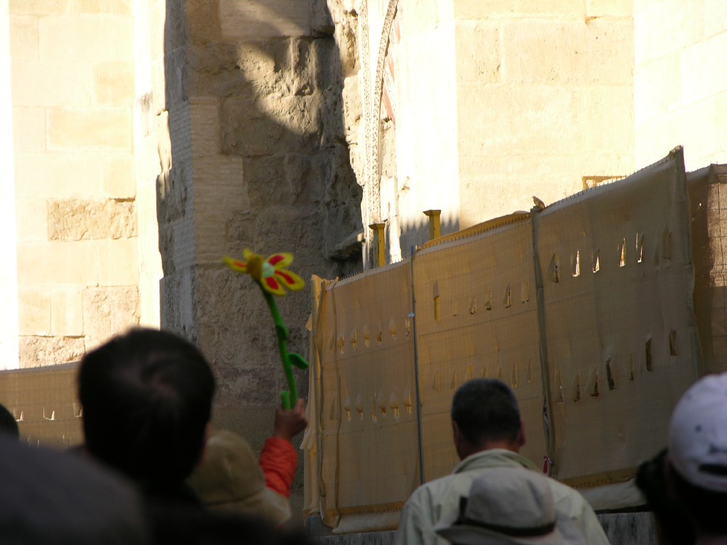 dscn0624.jpg
