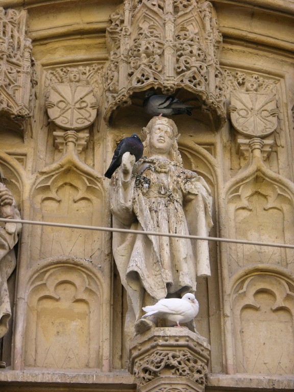 dscn0636.jpg