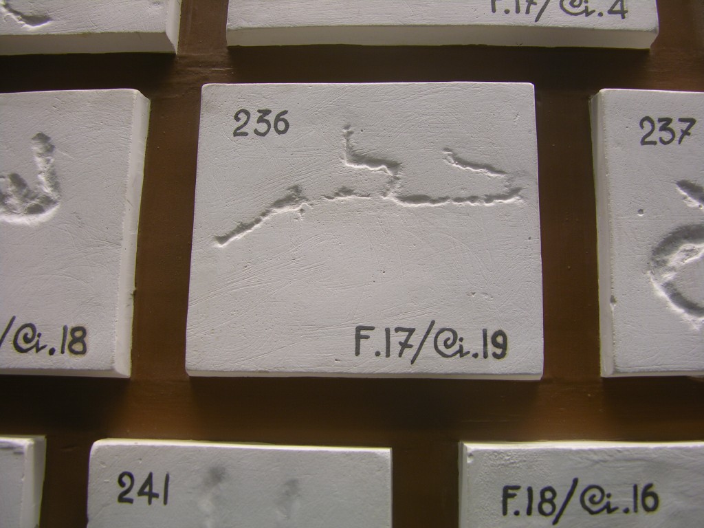 dscn0703.jpg