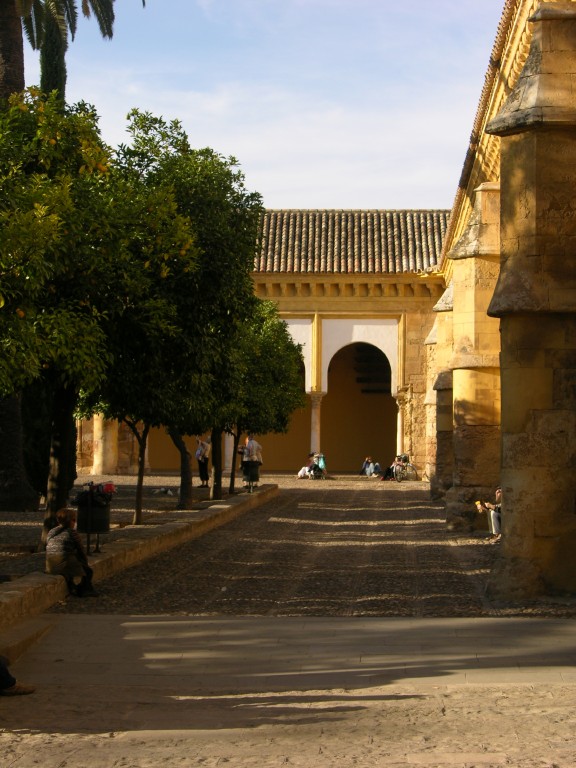 dscn0716.jpg