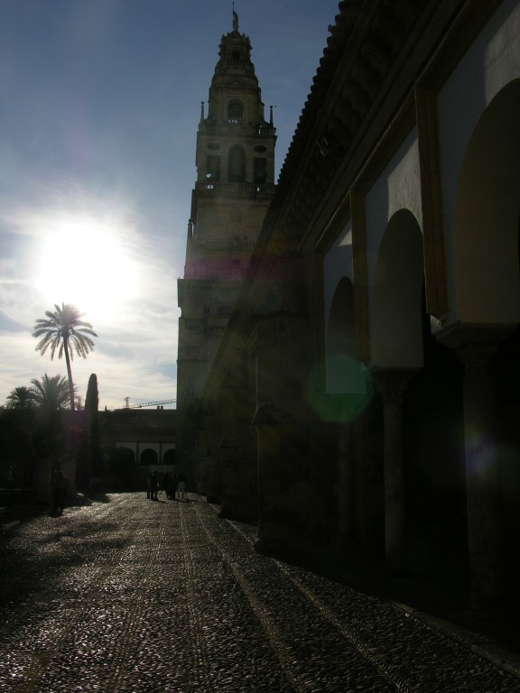 dscn0724.jpg