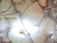 dscn0645.jpg