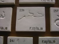 dscn0703.jpg