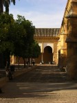 dscn0716.jpg