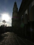 dscn0724.jpg