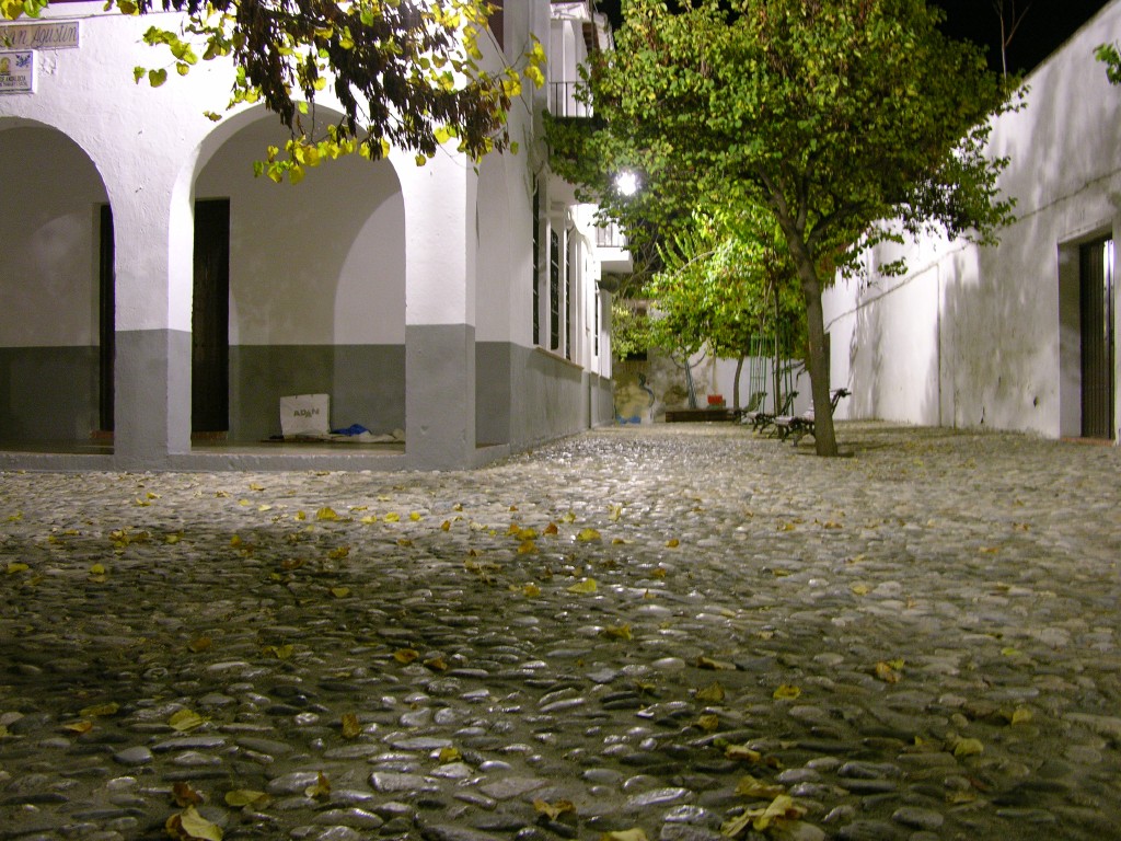 dscn0833.jpg