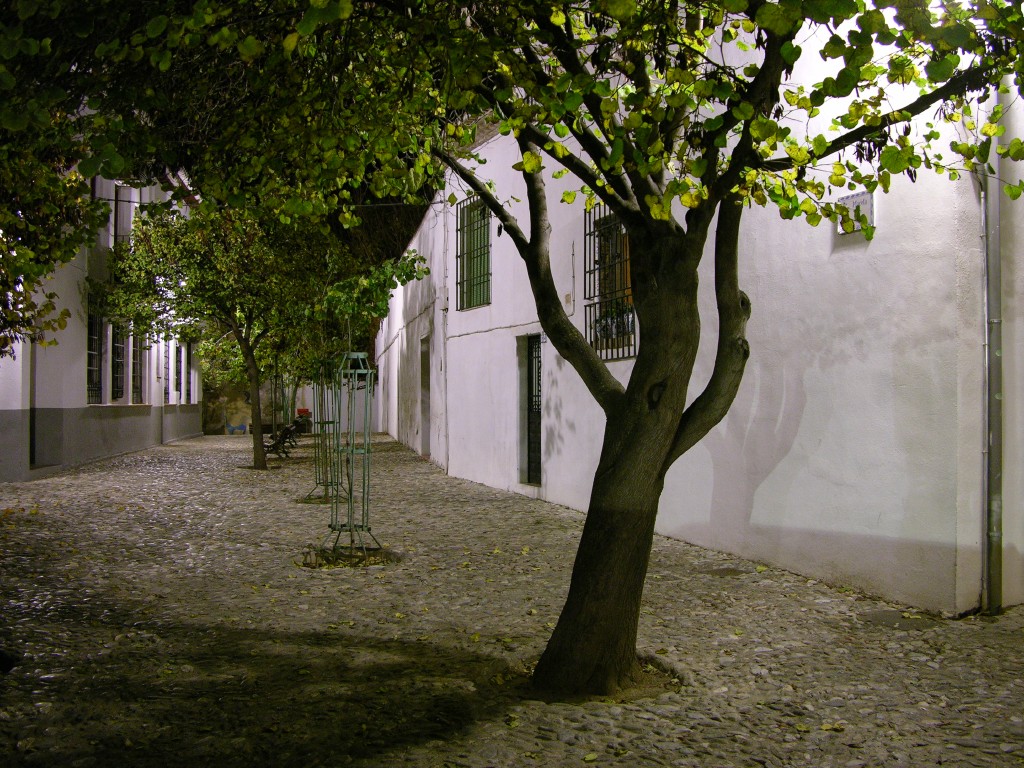 dscn0834.jpg