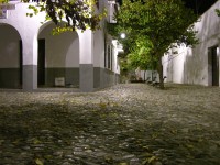dscn0833.jpg