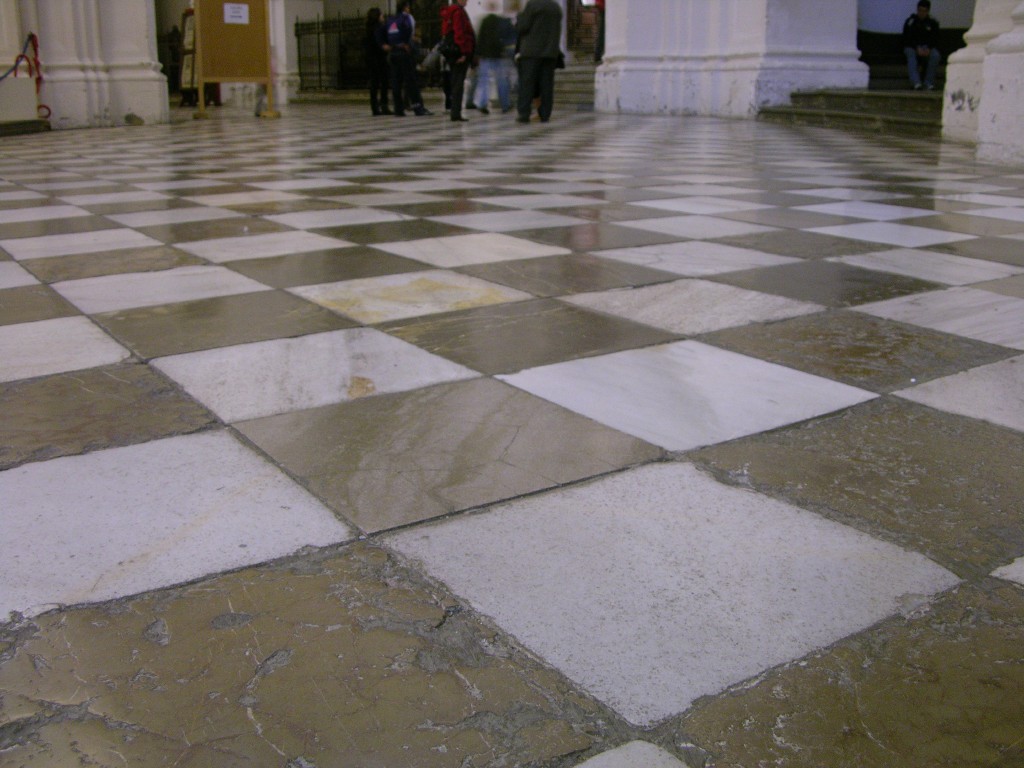 dscn0870.jpg