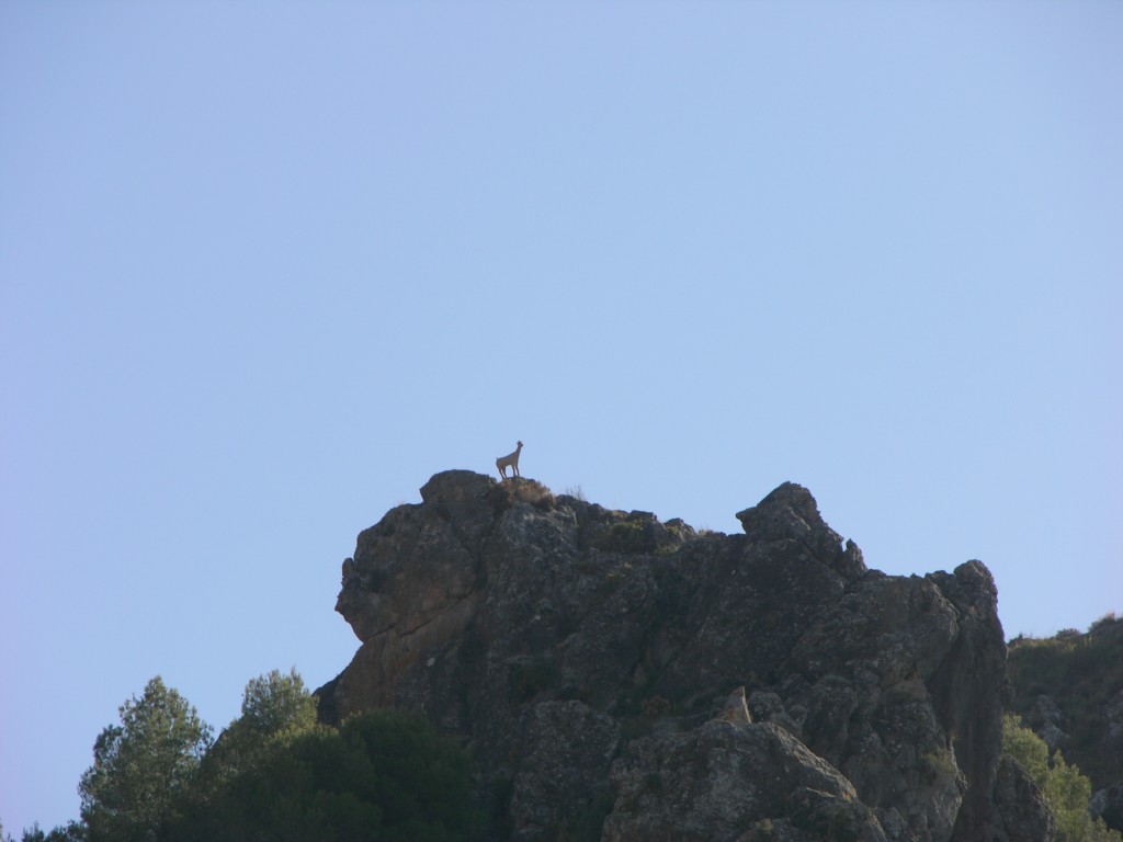 dscn0871.jpg