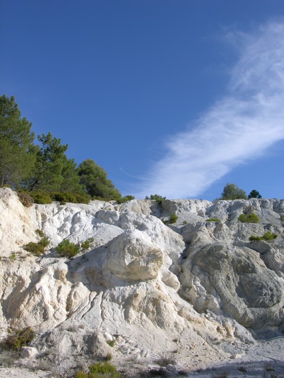 dscn0875.jpg