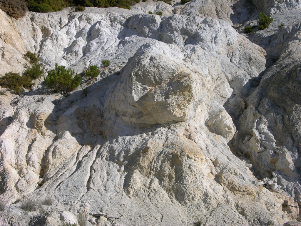 dscn0876.jpg