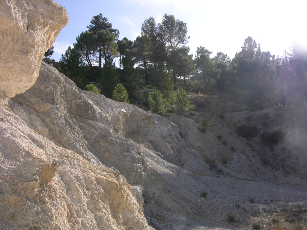 dscn0879.jpg