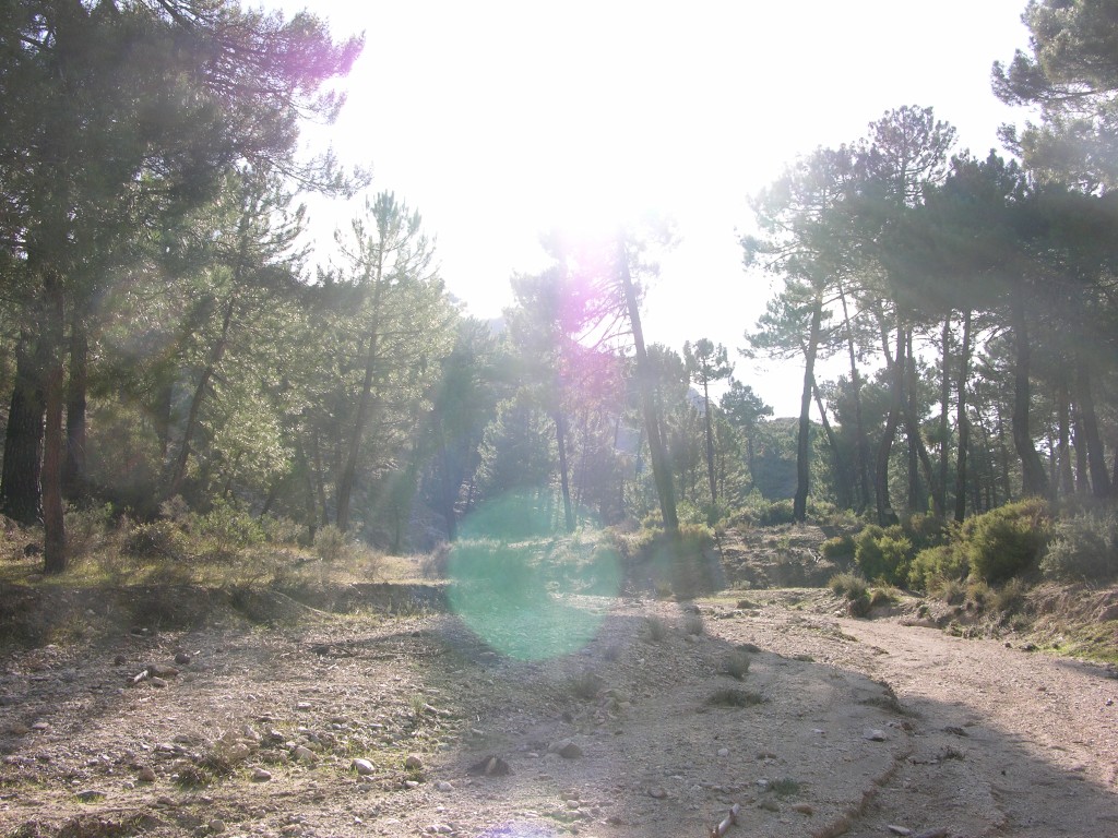 dscn0882.jpg