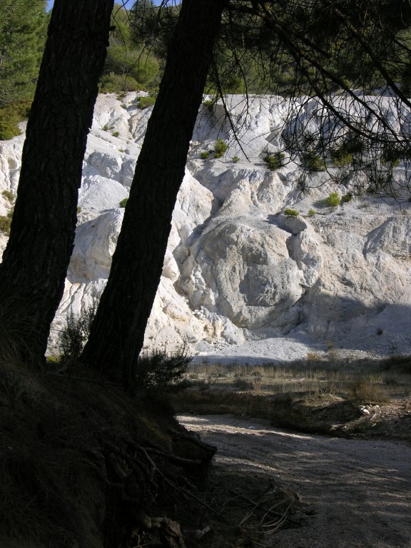 dscn0883.jpg