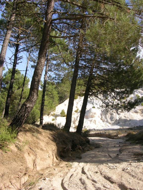dscn0884.jpg