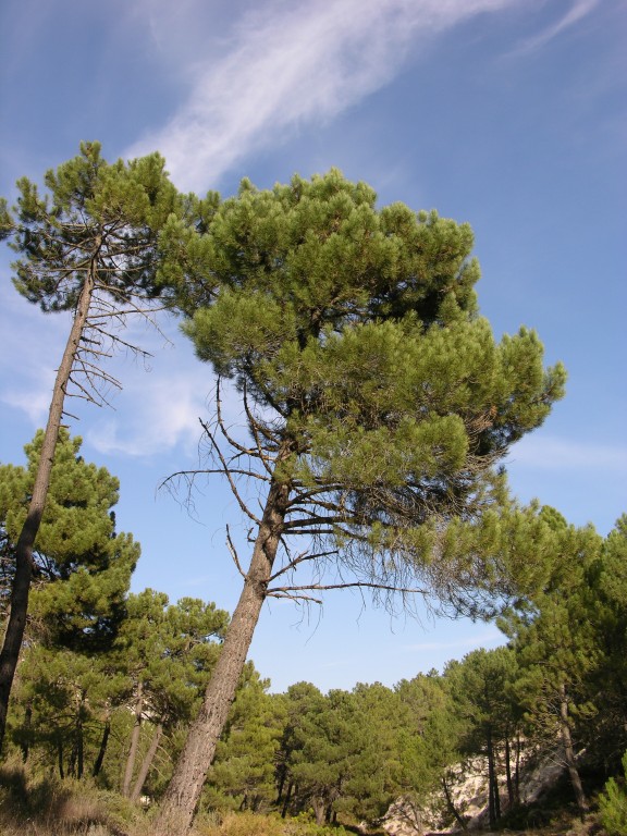 dscn0885.jpg