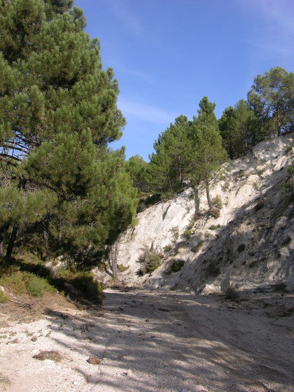 dscn0886.jpg
