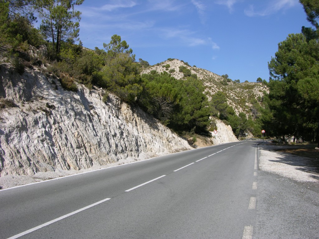 dscn0887.jpg