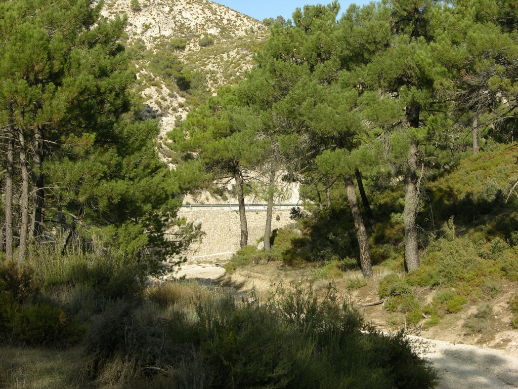 dscn0889.jpg