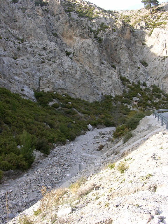 dscn0895.jpg