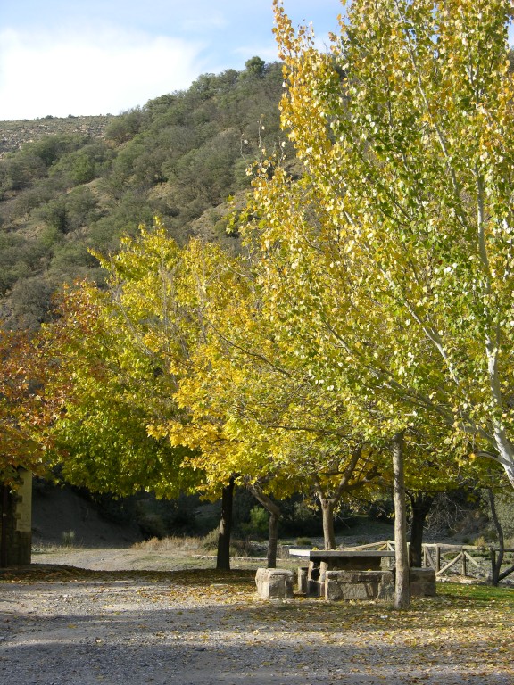 dscn0897.jpg