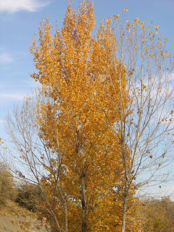 dscn0898.jpg