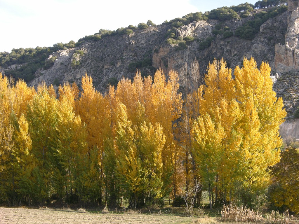 dscn0900.jpg