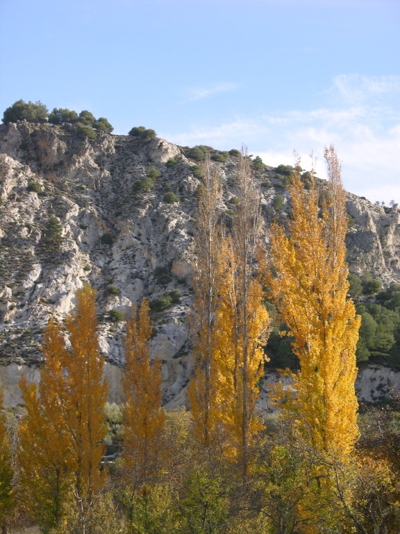 dscn0902.jpg