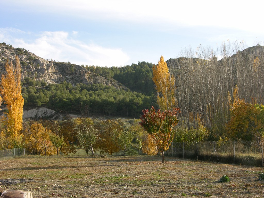 dscn0908.jpg