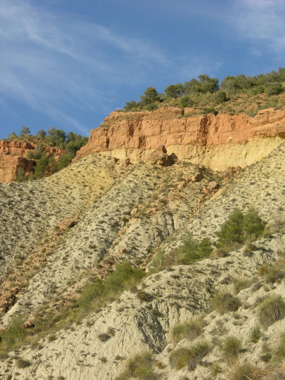 dscn0910.jpg
