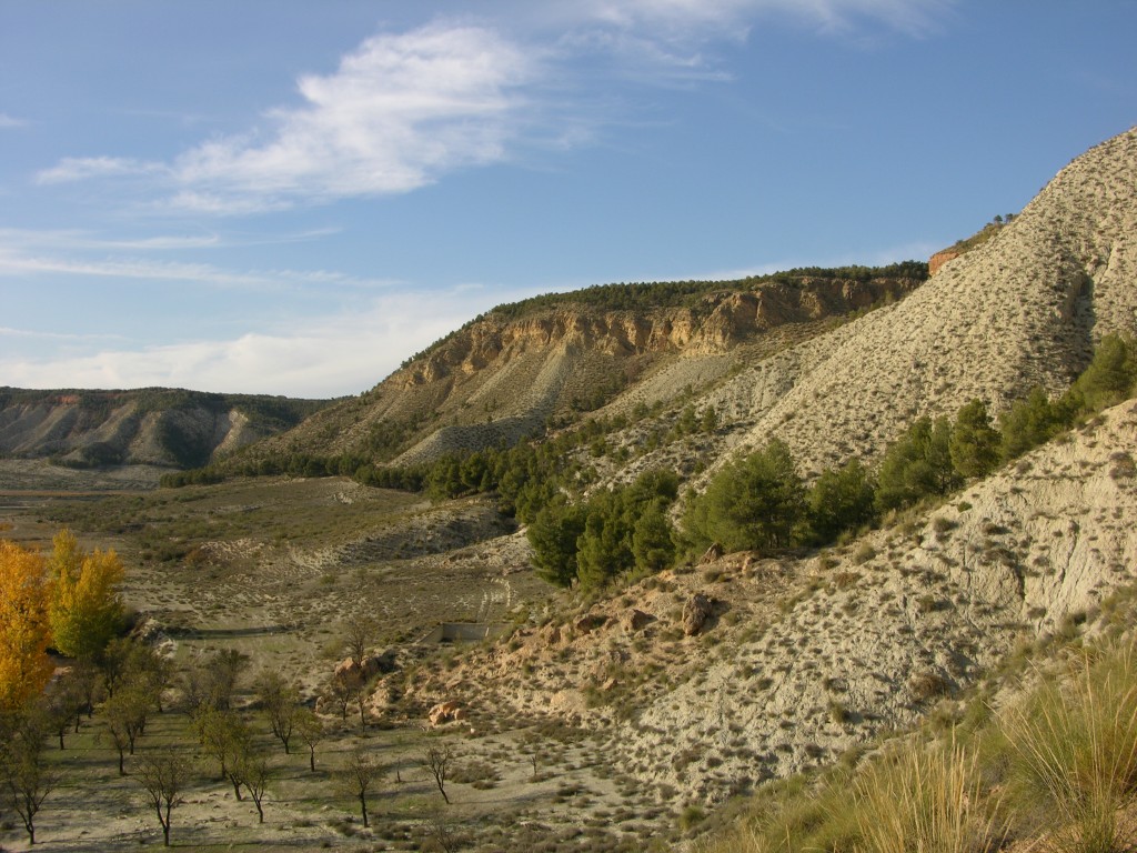 dscn0911.jpg