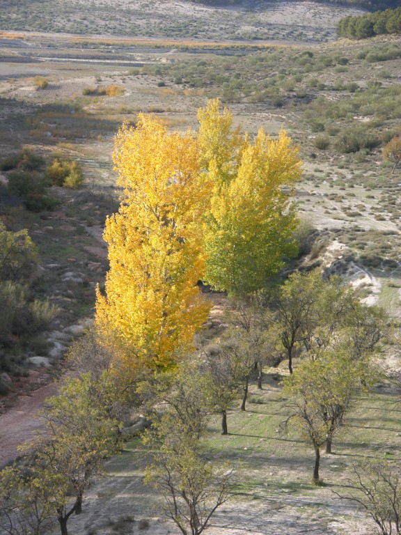 dscn0912.jpg