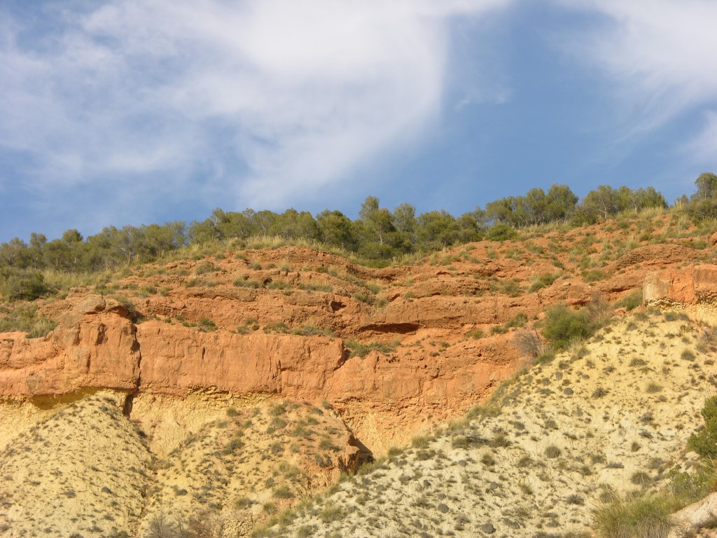 dscn0913.jpg