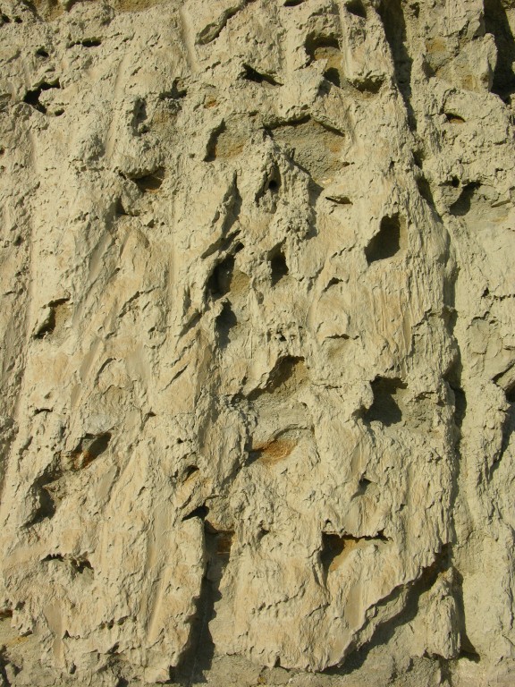 dscn0914.jpg