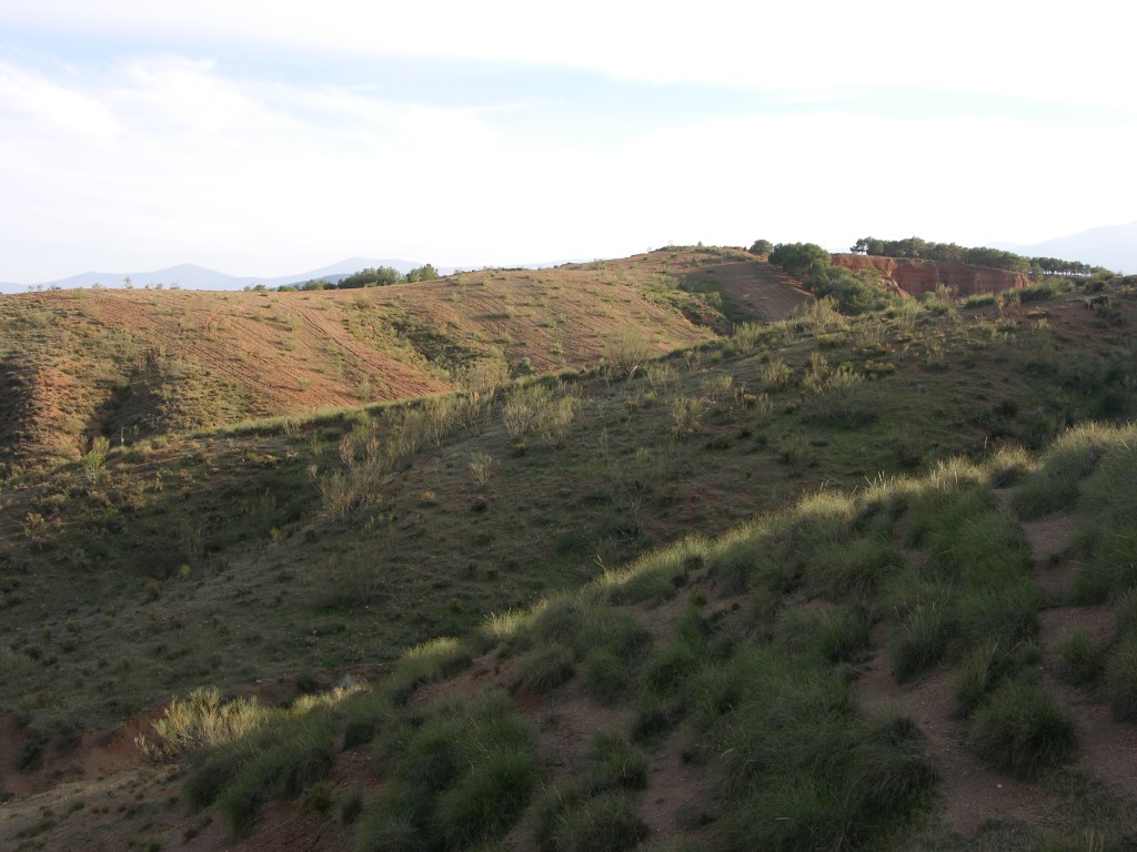 dscn0916.jpg