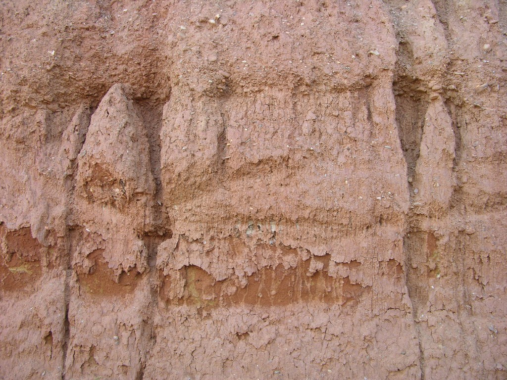 dscn0919.jpg