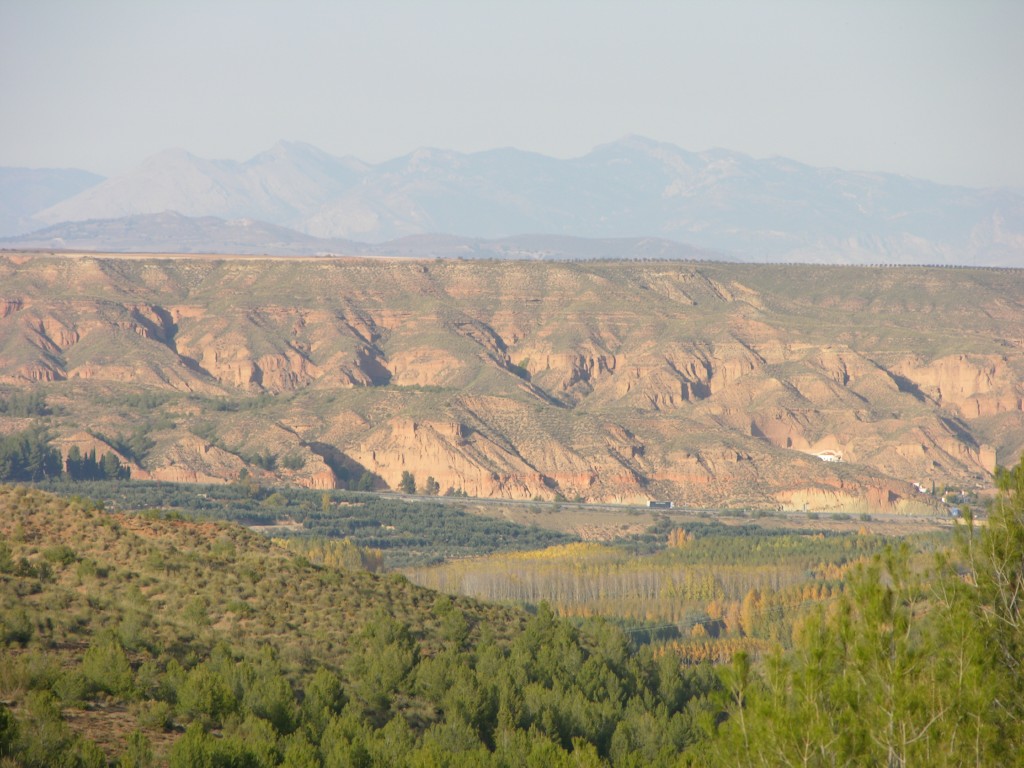 dscn0920.jpg