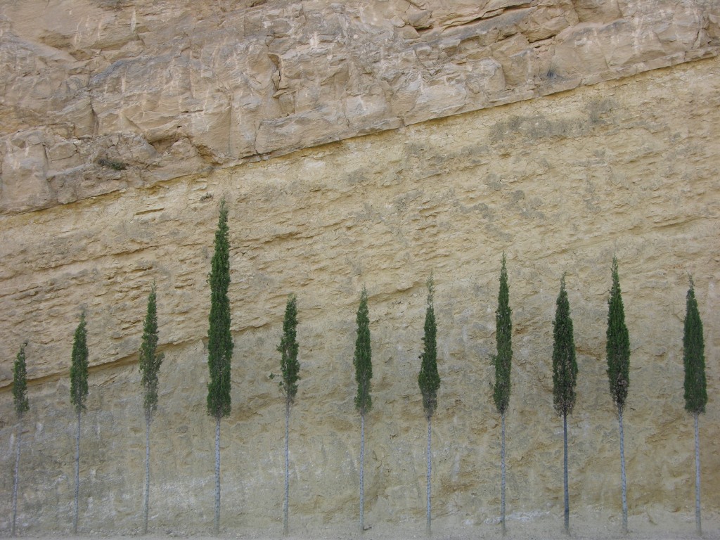 dscn0922.jpg