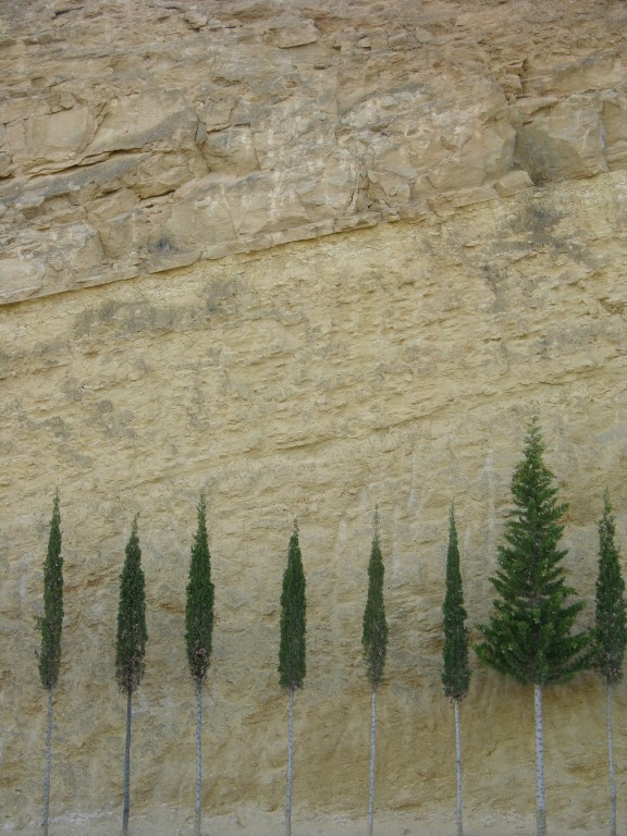 dscn0926.jpg