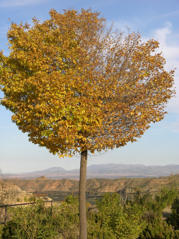 dscn0928.jpg