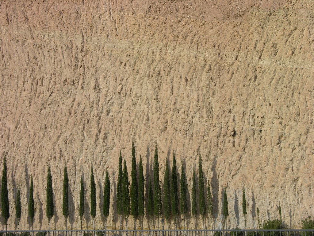 dscn0930.jpg