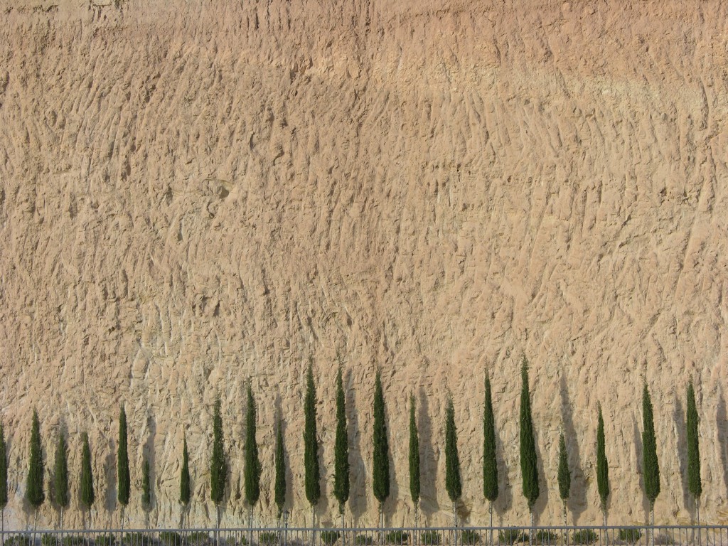 dscn0931.jpg